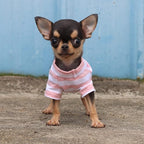 LOPHIPETS 100% Breathable Cotton Striped Dog Tee Shirt T-Shirt for Small Dogs Teacup Chihuahua Yorkie Puppy Clothes -Pink and White Strips/XXS