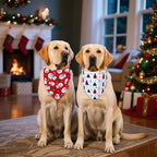 Christmas Dog Bandanas 2-Pack for Medium to Large Dogs - Reversible Santa & Reindeer Prints Scarf, Gift for Dog Lovers