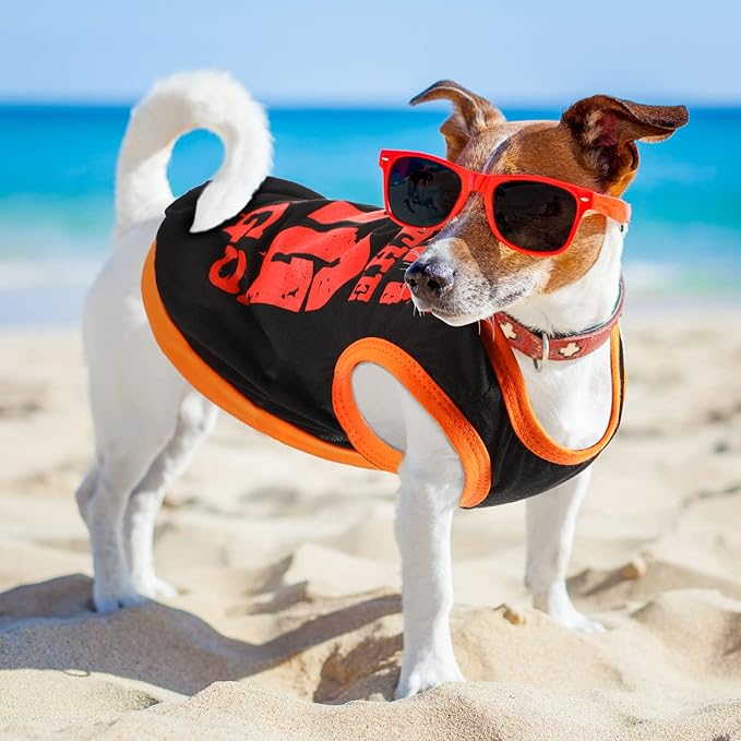Saintrygo 8 Pieces Dog Shirts Pet Printed Clothes with Funny Letters Summer Pet T Shirts Cool Puppy Breathable Dog Outfit Soft Sweatshirt Cats(Cute Pattern,Large)