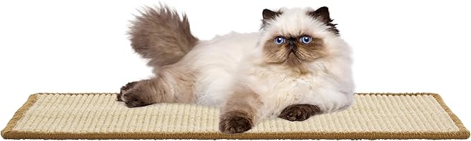 SAFAVIEH Cat Scratch Mat Pad Collection, 10" x 24", Beige, Sisal & Jute Boucle Weave, Velcro & Slip Resistant Backing