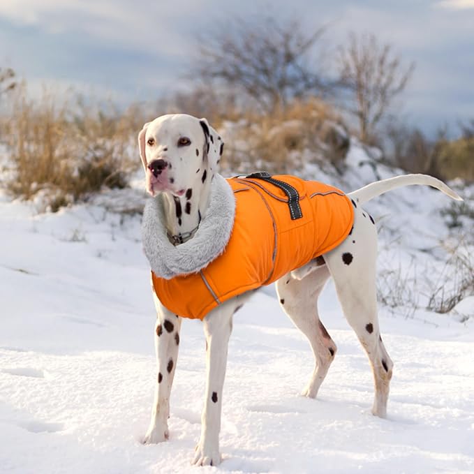 Lelepet Dog Coat Waterproof Dog Jacket Reflective Fleece Vest with Adjustable Buckle & Leash Hole Windproof Cold Weather Coats for Small Medium Large Dogs, Warm Hunting Vest, Orange, XXL