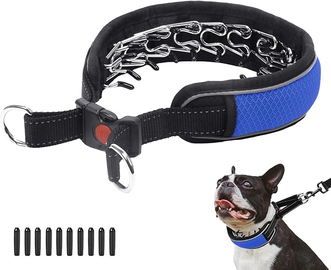 Martingale Collar for Dogs, Reflective No Pull Dog Collar for Large Medium Dogs, Adjustable Anti Pull Dog Collar for Training Walking, Heavy Duty Nylon Slip Collar with Buckle 2 Inch Wide L Blue
