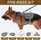Forestpaw Tactical Dog Harness for Large Dogs,Tactical Dog Collar with Bungee Leash Set,No Pull Military Dog Harness for Walking Training,Adjustable for Medium Large Dogs,Gray,Chest 21.5-45"