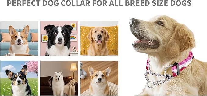 Martingale Dog Collars with Stainless Steel Chain, Reflective No Pull Walking Training Collar with Quick Release Buckle, Adjustable Slip Chain Nylon Dog Collars for Small Medium Large Dogs