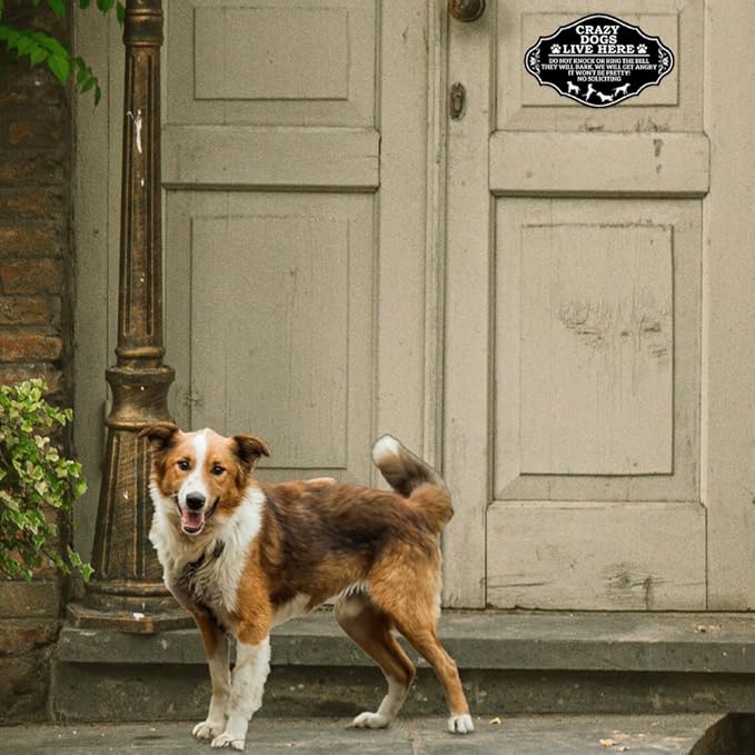 Front Door Do Not Knock or Ring Bell Sign, Crazy Dogs Live Here, No Soliciting - Yard Warning Sign (8 x 5 inch)