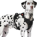 Eagloo Dog Harness for Large Dogs, Easy Wearing with 3 Quick-Release Buckles, Adjustable No Pull Pet Harness with MOLLE System, No Choke Reflective Vest with Control Handle, Black, XL