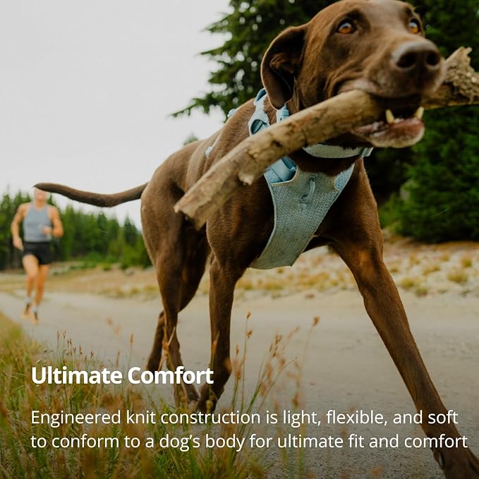 Ruffwear, Front Range Flex Dog Harness, Engineered Knit Construction for Ultimate Fit and Mobility, Lightweight Flexible Everyday Harness with Dual Leash Clips, Deep Teal, X-Small