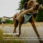 Ruffwear, Front Range Flex Dog Harness, Engineered Knit Construction for Ultimate Fit and Mobility, Lightweight Flexible Everyday Harness with Dual Leash Clips, Rose Violet, Large/X-Large