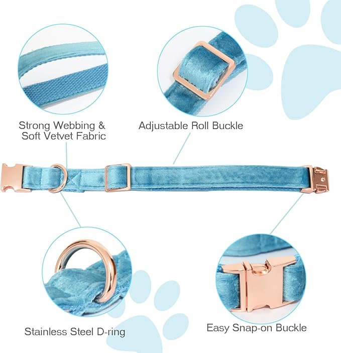 Bubblepup Velvet Dog Collar and Leash Set, Dog Collars for Small Medium Large Dogs Leash for Training & Walking