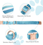 Bubblepup Velvet Dog Collar and Leash Set, Dog Collars for Small Medium Large Dogs Leash for Training & Walking