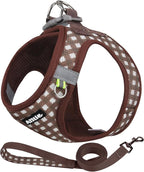 AIITLE Easy Walk Dog Vest Harness and Leash Set, Pet Supply No Pull, Breathable Mesh, Reflective Stripes, Adjustable Escape Proof Pet Outdoor Harnesses for Medium Dogs Chocolate L