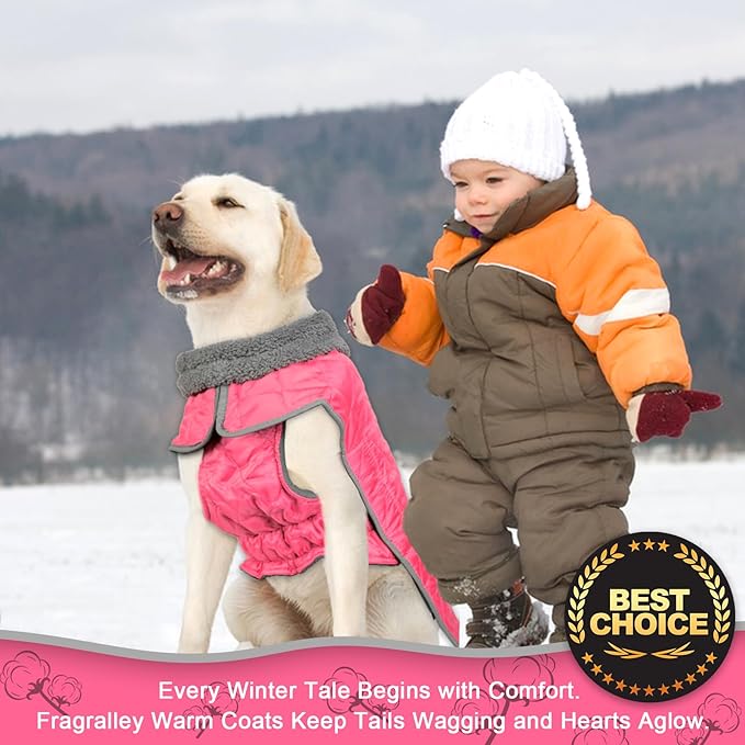 Fragralley Dog Winter Coat, Waterproof Windproof Reflective Fleece Jacket with Harness Hole, Warm Snow Vest for Small Medium Large Dogs, Ideal Gifts