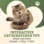 1 Pack Cat Scratcher Toy with Balls Bells, Magic Organ Foldable Cat Scratching Board for Kitten, Interactive Toys for Indoor Adult Cats Exercise Anxiety Relief, Auburn