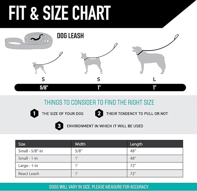 Wolfgang Heavy Duty Dog Leash, Pull-Tested for Walking & Training, LazyDaisy Print, Large