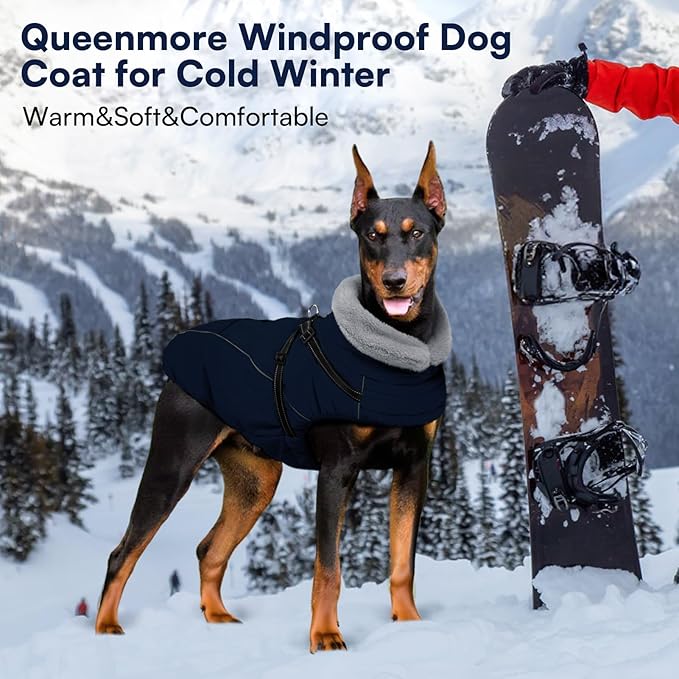 Queenmore Dog Coat,Windproof Dog Coat for Medium Dogs,Dogs Jackets with Harness Built in,Waterproof Doggy Coats with Zipper On Back,Reflective Cold Weather Coats for Dachshund,NavyBlue,M