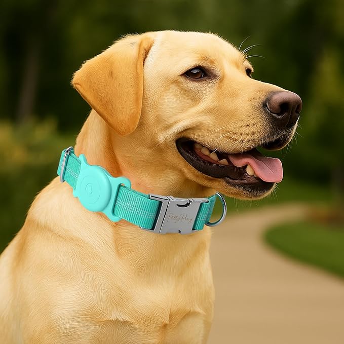 AirTag Holder Dog Collar for Large Medium Dogs, Adjustable Nylon Dog Training Collar with Quick Release Buckle, Reflective Heavy Duty Tactical Dog Collar with Handle (Bluegreen L)