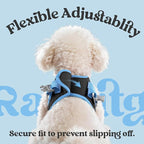 rabbitgoo Dog Harness Small Sized and Leash Set, Step-in Breathable Pet Harness, Soft Walking Reflective Puppy Vest for Small Dogs, Black & Light Blue, S