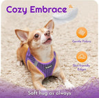 Eagloo Small Dog Harness and Leash Set, Step in Puppy Vest with Breathable Soft Mesh, Walking Reflective Pet Harness for Small Dogs, Purple, XS