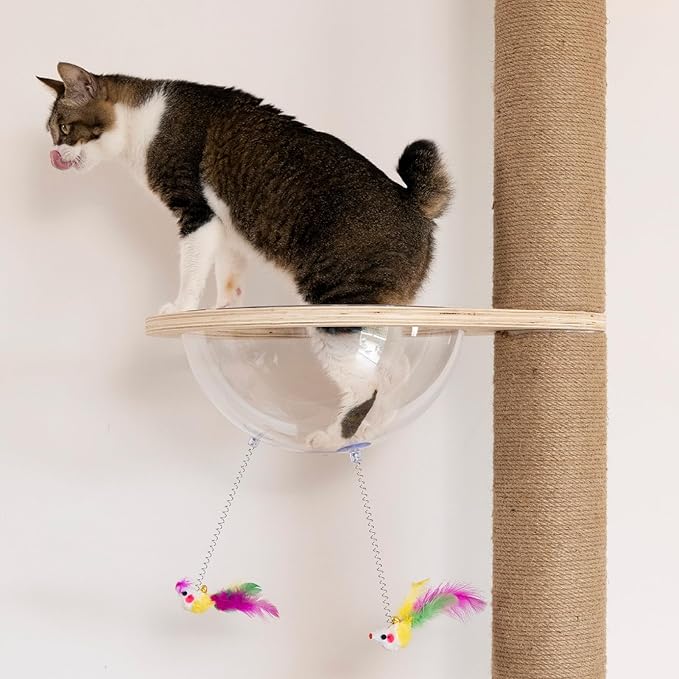 Cat Tree Transparent Spaceship Hammock Accessory Free Standing Cat Stand Accessory Modern Activity Cat Stand Space Ship