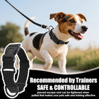 Martingale Collar for Dogs, Adjustable Soft Nylon Dog Collars with Special Design Cute Patterns (Black, M (1" x 15.5"-19.5"))