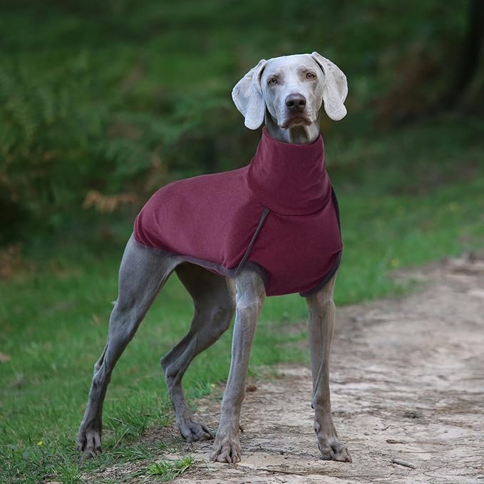 ROZKITCH Fleece Pet Elastic Jumpsuit with Pull Ring, Vest for Cold Weather Winter, Elastic Turtleneck, Sleeveless Pullover Clothes, Lightweight Pet Shirt for Small Medium Large Dogs Red XL