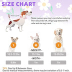 KOOLTAIL Martingale Collar for Dogs for Small Medium Large Dogs, Soft Padded Nylon No Pull Dog Collar with Buckle, Adjustable No Slip Heavy Duty Durable Puppy Training Collar for Boys Girls, Purple M