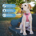 Best Pet Supplies Voyager Step-in Air All Weather Mesh Harness and Reflective Dog 5 ft Leash Combo with Neoprene Handle, for Small, Medium and Large Breed Puppies - Harness Leash Set (Pink), XXXS