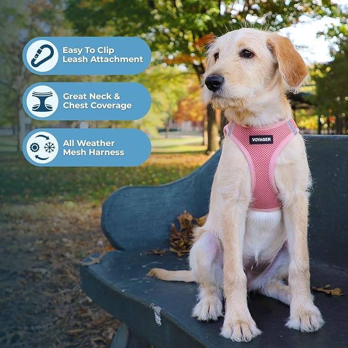 Best Pet Supplies Voyager Step-in Air All Weather Mesh Harness and Reflective Dog 5 ft Leash Combo with Neoprene Handle, for Small, Medium and Large Breed Puppies - Harness Leash Set (Pink), XXXS