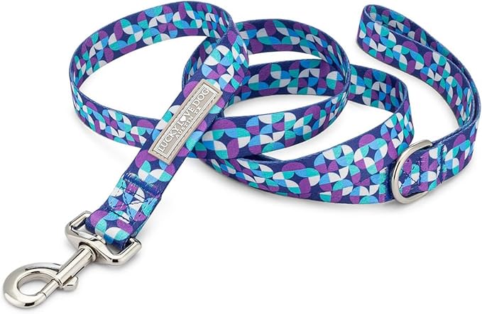 Lucky Love Dog Martingale Dog Collar & Leash - Adjustable, No-Slip, Durable, Comfortable, Soft Webbing, & Stylish Patterned Collar & Leash Set for Male and Female Dogs - Jasper Combo, Medium