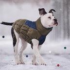 IECOii XXL Dog Coat, ZIPPED FLEECE & WATERPROOF Dog Winter Jacket, EXTRA LARGE for M/F Dogs
