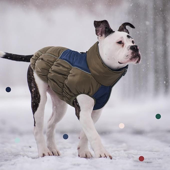 IECOii Windproof Waterproof Dog Coat - Thick Fleece Vest With Zipper, Snow Jacket For Large Dogs