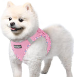 rabbitgoo Small Dog Harness, Step-in Soft Mesh Puppy Vest with Safety Buckle, Breathable Reflective Pet Harness for Small Sized Dogs, Pink & Plaid Trim S