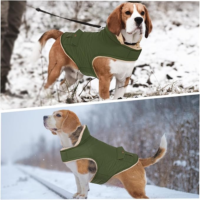ASENKU Warm Dog Winter Coat, Waterproof Dog Coat for Cold Weather, Fleece Dogs Jacket with Ultra Thick Plush Lining Leash Hole Storage Pockets for Medium Large Dogs (Green, Large)
