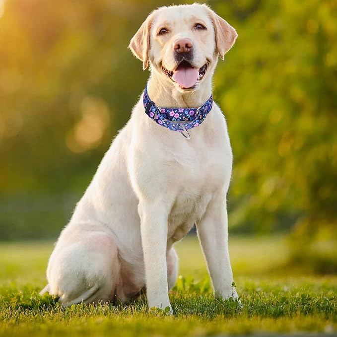 Martingale Dog Collars for Medium Dogs, No-Slip Escape Proof Choke No Pull Cinch Soft Nylon Dog Training Collars Adjustable for Small Medium Large Breed Pet Dogs, Purple Floral M