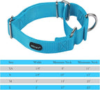 Mikivery Martingale Dog Collar Nylon Adjustable and Safety Training Colourful Comfortable Metal Buckle Pet Collars for Small Medium and Large Dogs(Ice Blue,L)