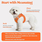 rabbitgoo Dog Harness Small Sized and Leash Set, Step in Soft Light Puppy Vest, Breathable Mesh Pet Harness, Reflective for Safe Easy Walking, Orange M