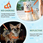 Lukovee No Pull Dog Harness and Leash Set, Soft Padded Small Dog Harness, Neck & Chest Adjustable Reflective Vest Puppy Harness with 4ft Lightweight Anti-Twist Dog Leash for Small Dogs (Orange, XS)