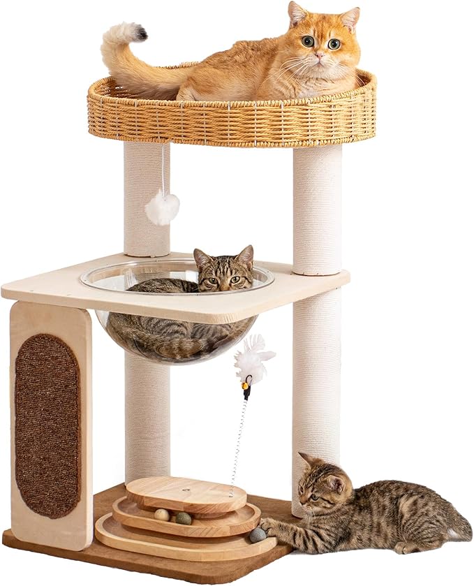 Modern Cat Tree for Large Cats, Modern Cat Tree Tower with Wide Shelves Cotton Scratching Posts, Super Sturdy Base, Cozy Perches, and Interactive Toys for Indoor Kittens 31-Inch