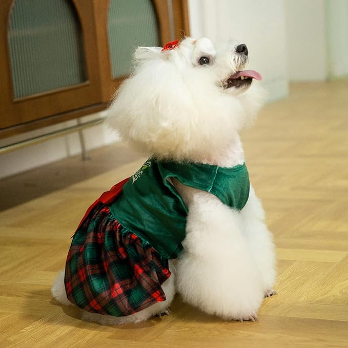 CuteBone Christmas Tree Dog Dress Velvet for Small Dogs Girl Puppy Dresses Green Plaid Dog Clothes CVA05XXS-D