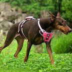 PUPTECK Escape Proof Dog Harness with Padded Handle, No Pull Pet Vest Harness Durable Reflective for Medium Large Dogs Walking Training and Running, Pink, L