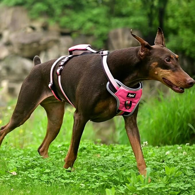 PUPTECK Escape Proof Dog Harness with Padded Handle, No Pull Pet Vest Harness Durable Reflective for Medium Large Dogs Walking Training and Running, Pink, M