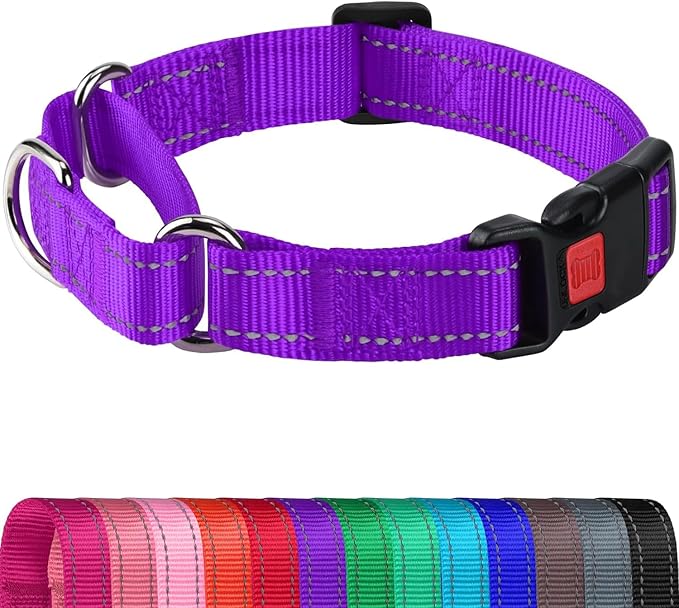 Joytale Martingale Collar for Dogs, Reflective Heavy Duty for Safety, Quick Release Buckle, Adjustable Nylon Collars for Puppy and XSmall Dogs Walking Training, Purple,XS