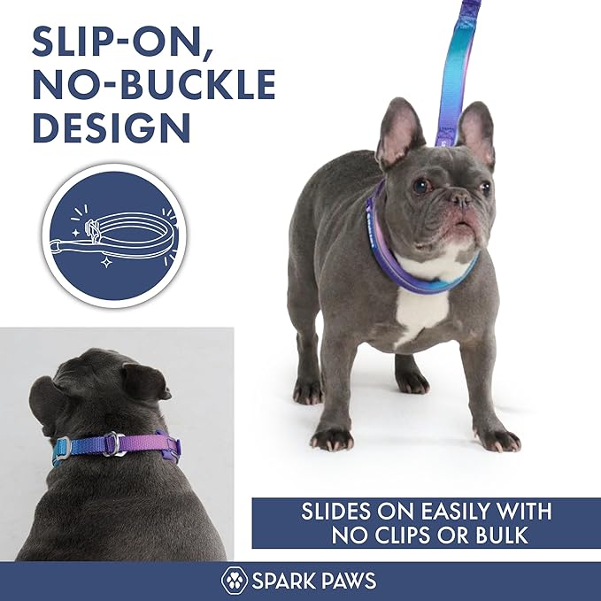 Spark Paws Martingale Dog Collar – Cushioned Slip-On Training Collar, Heavy Duty, Safety-Tested No-Buckle Collar for Medium & Large Dogs - 90s Retro - C