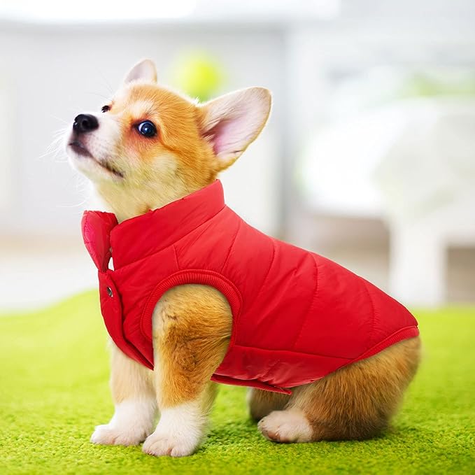Syhood 2 Pieces Dog Jacket 2 Layers Fleece Lined Dog Jacket Warm Soft Windproof Small Pet Coat for Winter Cold Weather(L,Navy,Red)