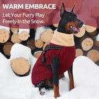 Queenmore Dog Jackets for Medium Dogs, Dog Coat with Harness Built in, Waterproof Pet Winter Coat with Zipper On Back Doggy Snowsuits Warm Soft Pet Jacket for French Bulldog, Poodle, Corgi, Burgundy M