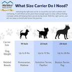 MidWest Homes for Pets Spree Travel Carrier – Hard-Sided Dog & Cat Carrier, Small Pet Travel Crate with Handle, Ventilated Design, Easy Assembly, 19-Inch, Green