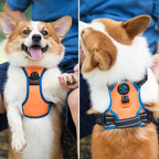 PHOEPET 2019 Reflective Dog Harness Large Breed Adjustable No Pull Vest with with Handle 2 Metal Rings 3 Buckles [Easy to Put on & Take Off](L, Orange)