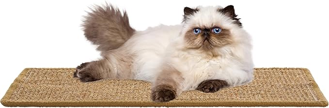 SAFAVIEH Cat Scratch Mat Pad Collection, 10" x 24", Brown, Sisal & Jute Boucle Weave, Velcro & Slip Resistant Backing