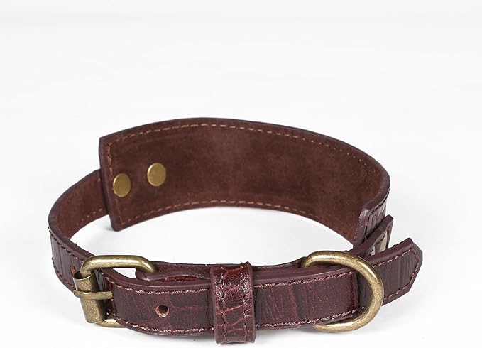 Lightnpro Genuine Leather Dog Collar & Leash Set - Adjustable 24" Collar with Metal Buckle + Durable Lead - Premium Walking & Training Gear for Large Breeds (German Shepherd, Bernese, St. Bernard)