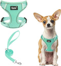 PUPTECK Small Dog Harness and Leash Set, No Pull Adjustable Puppy Cat Harness, Reflective Soft Mesh Pet Vest Small Sized, Green, XS
